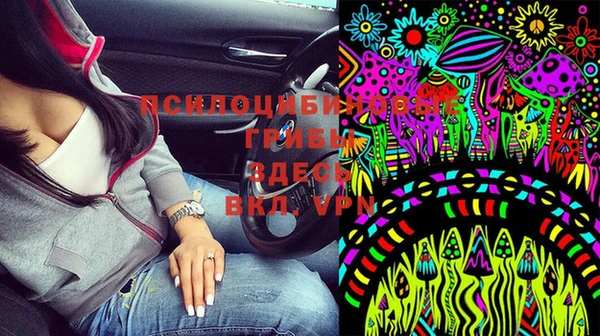 тгк Каменка