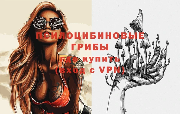 каннабис Каменногорск