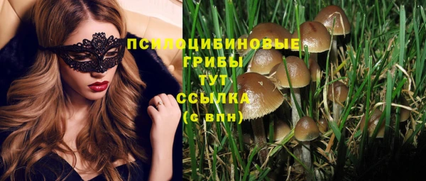спайс Сатка