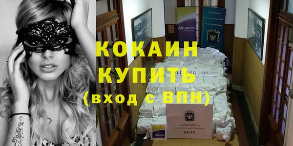 тгк Каменка