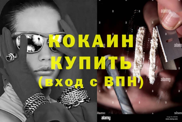 тгк Каменка