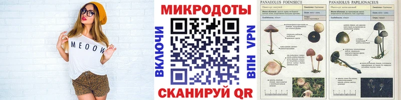 Псилоцибиновые грибы Cubensis цены Сосенский